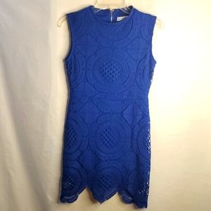 Stella Luce Women Knit Dress, Size Medium, Color Blue